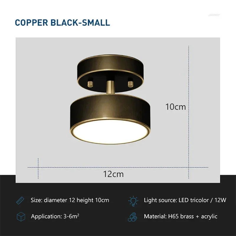 Modern Rotatable LED Ceiling Light – Copper Fixture for Home & Living