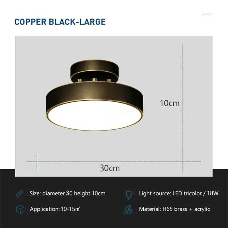 Modern Rotatable LED Ceiling Light – Copper Fixture for Home & Living