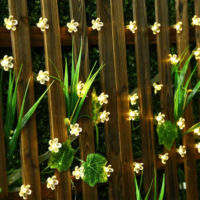 LED Solar Powered String Lights 