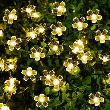 LED Solar Powered String Lights 