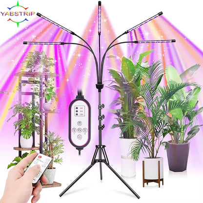 Full Spectrum LED Grow Light DC 5V USB Phyto Lamps Desktop Plant Growth Lamp for Indoor Flower VEG Seedling Succulent Fitolampy