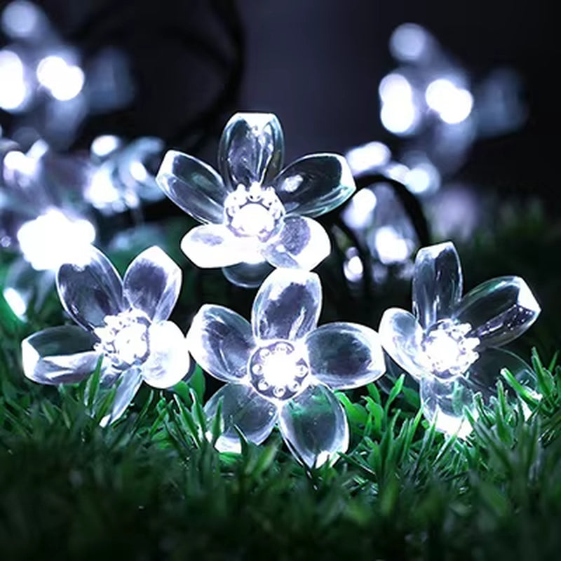 LED Solar Powered String Lights 