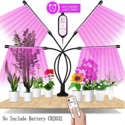 Full Spectrum LED Grow Light DC 5V USB Phyto Lamps Desktop Plant Growth Lamp for Indoor Flower VEG Seedling Succulent Fitolampy