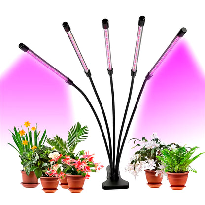 Full Spectrum LED Grow Light DC 5V USB Phyto Lamps Desktop Plant Growth Lamp for Indoor Flower VEG Seedling Succulent Fitolampy