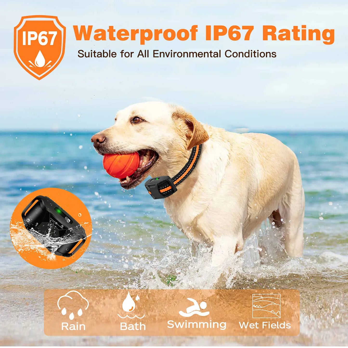 3300Ft Waterproof Electric Dog Training Collar – Remote Control