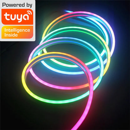 10M RGBIC TUYA LED Neon Strip Lights – Alexa & WiFi Control